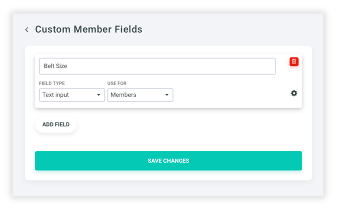 CustomMemberFields