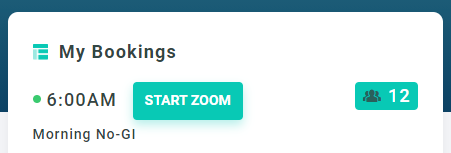 start-zoom